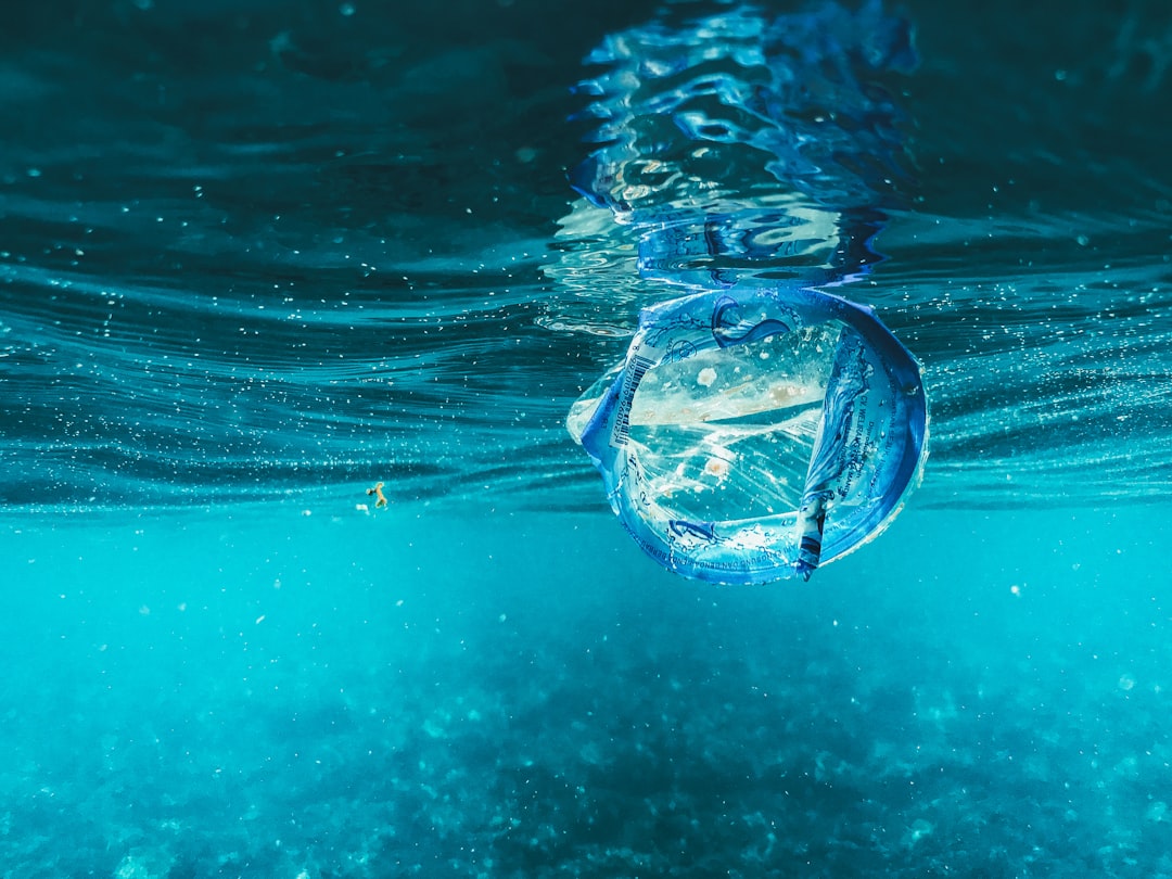 The Context of International Waters