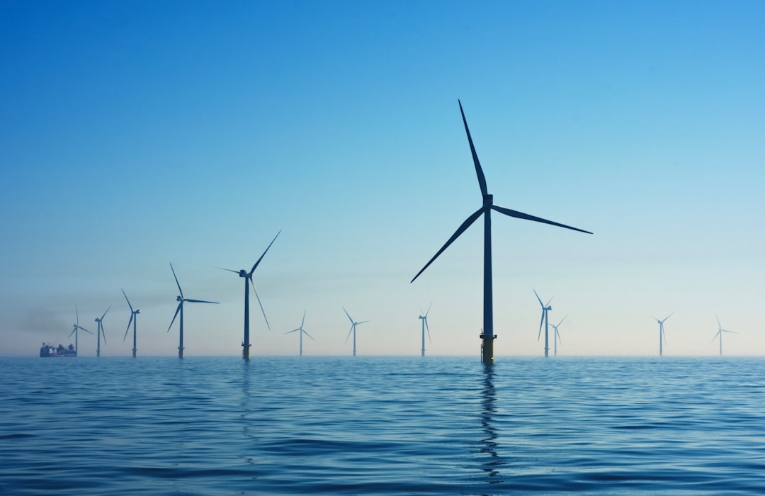 The Future of Renewable Energy