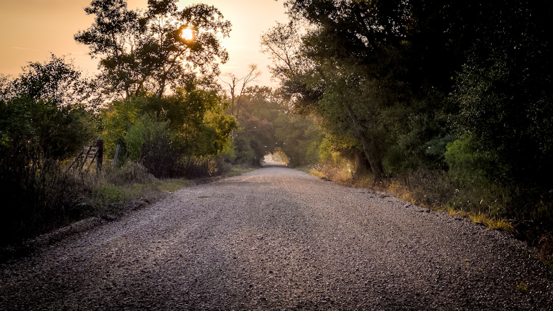 Community Impact and the Road Ahead