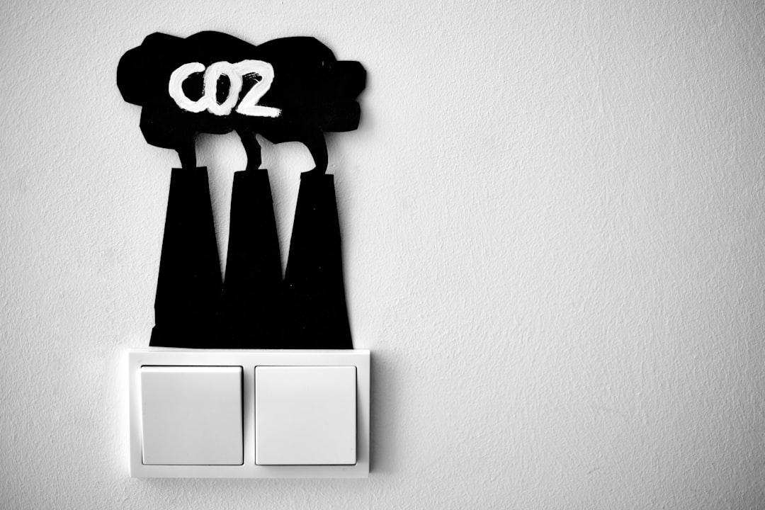 The Role of Carbon Pricing