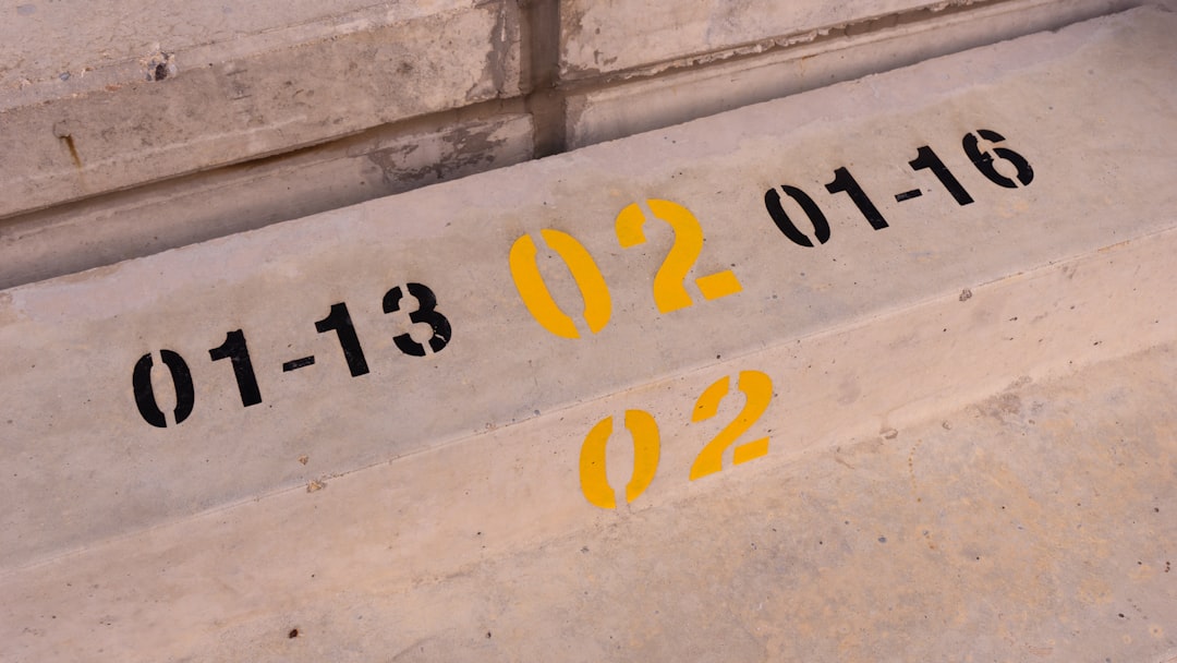 Project Details and Timeline