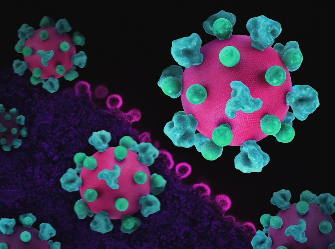 Understanding Hantavirus Transmission