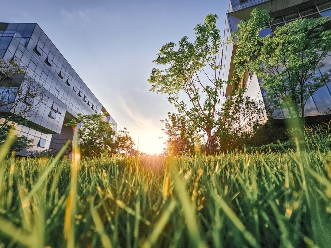 Environmental Considerations and Corporate Growth