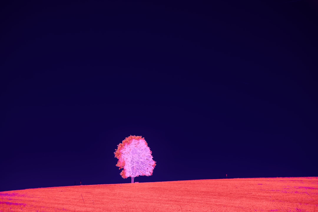 A Shift in Perspective