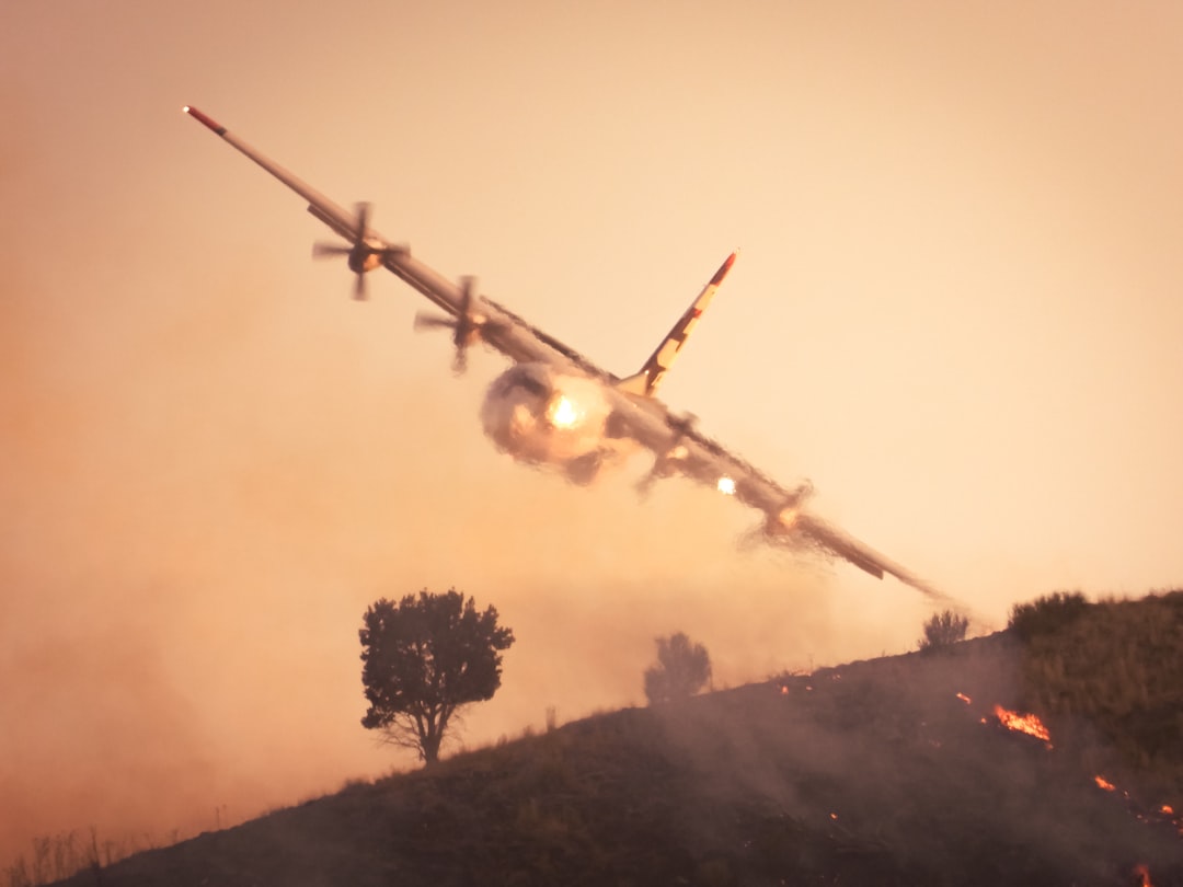 Allies in the Crossfire
