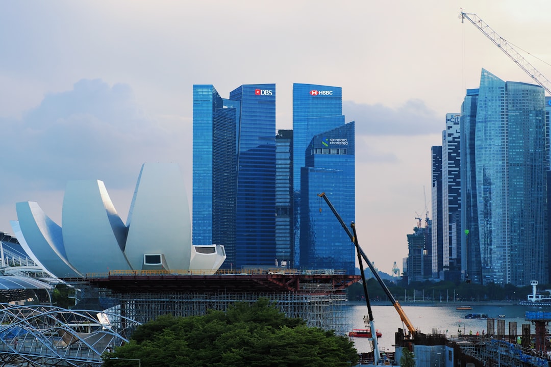 The Role of the Global Economy
