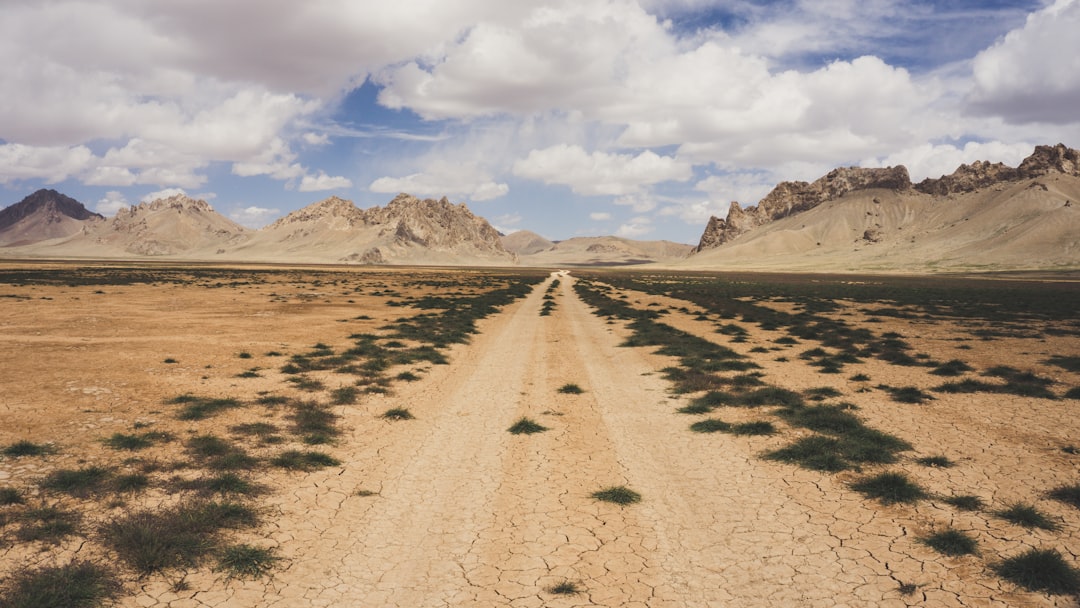 The Path Ahead