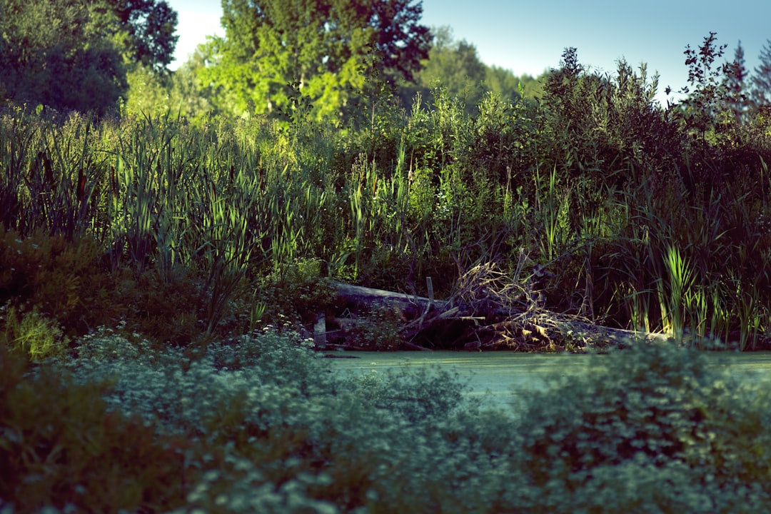 A Second Encounter with Nature
