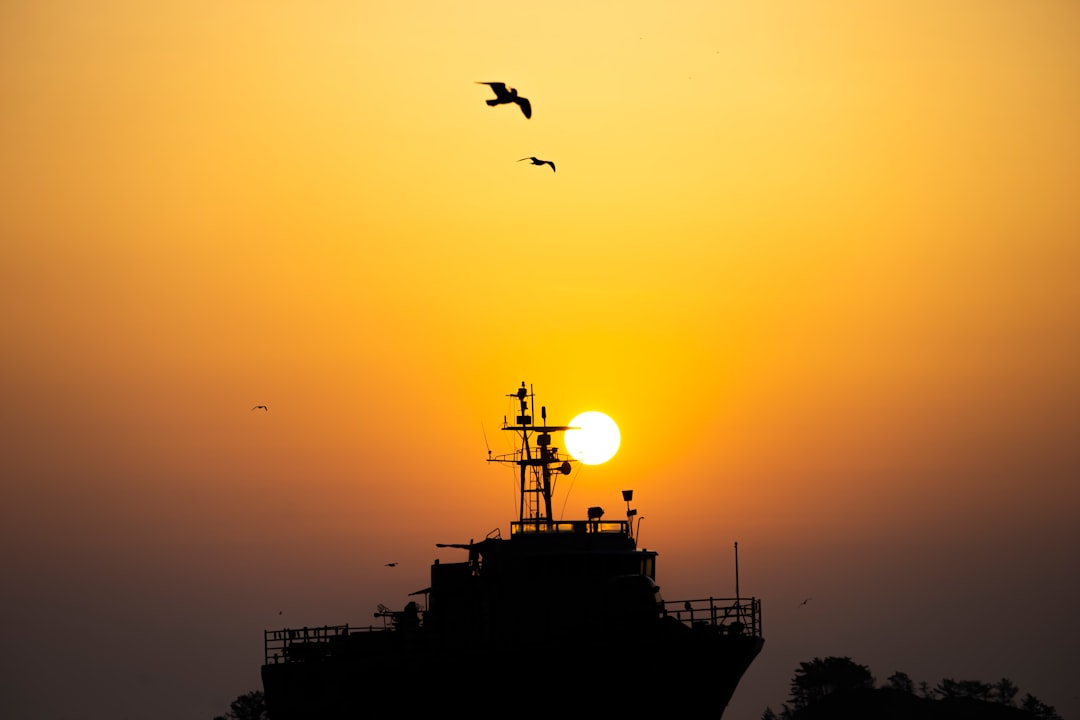 The Maverick Who Soared