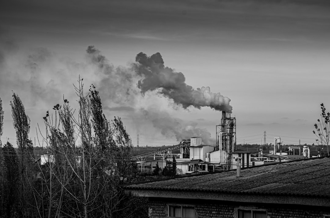 Concerns Over Sustainability