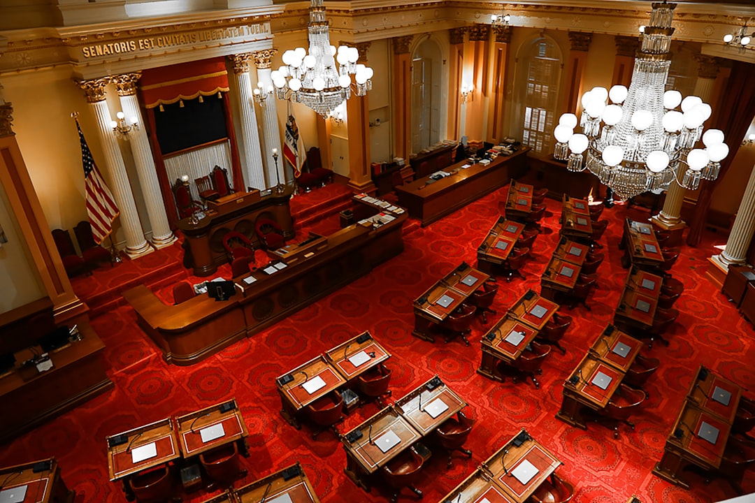 Government Support and Legislative Process
