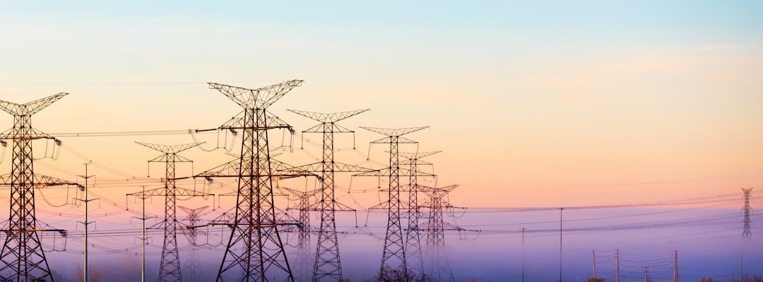 Implications for the Energy Sector