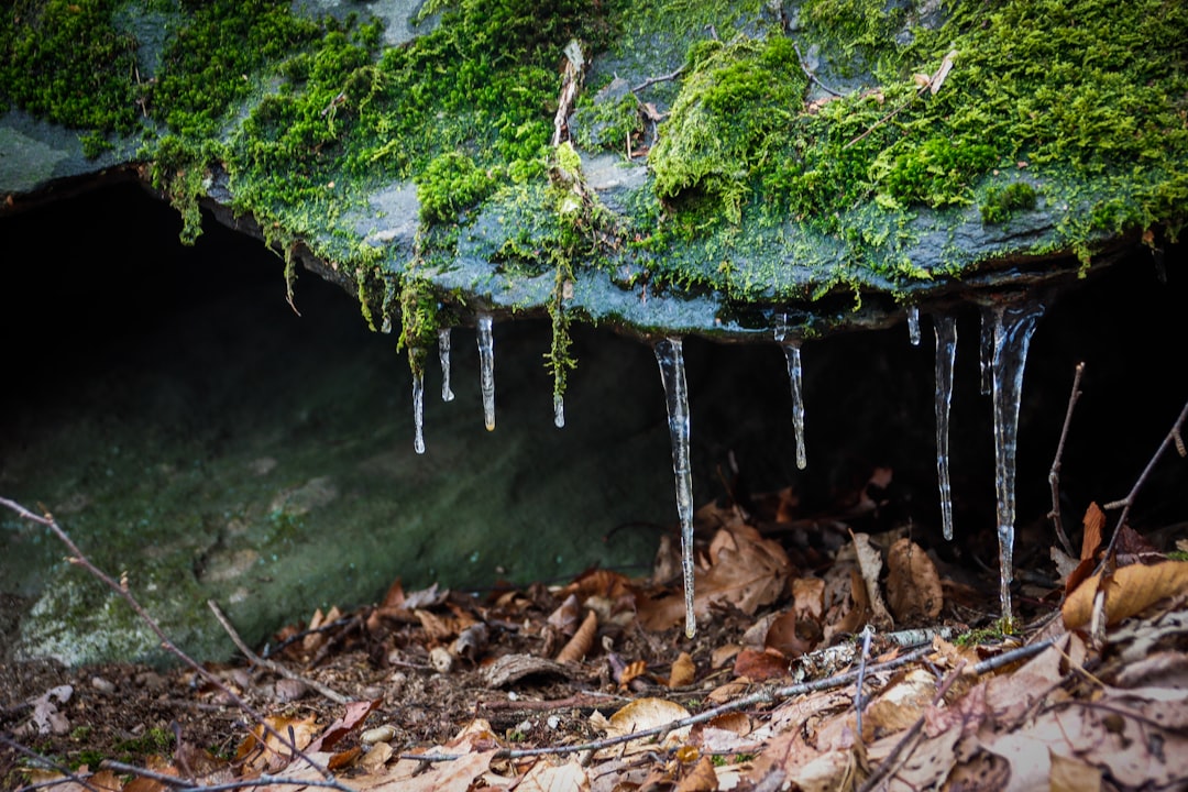 Understanding the Climatic Context