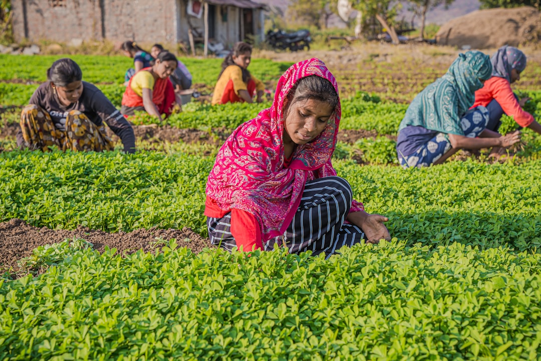 Benefits for Farmers and Consumers