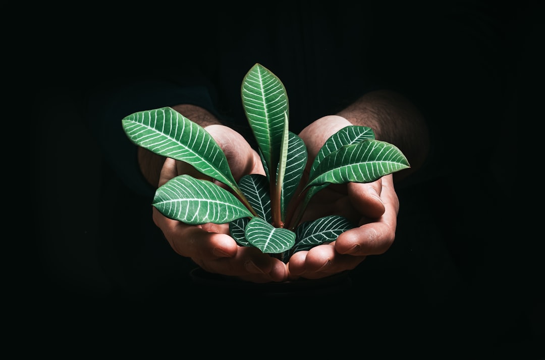 The Need for Sustainable Solutions