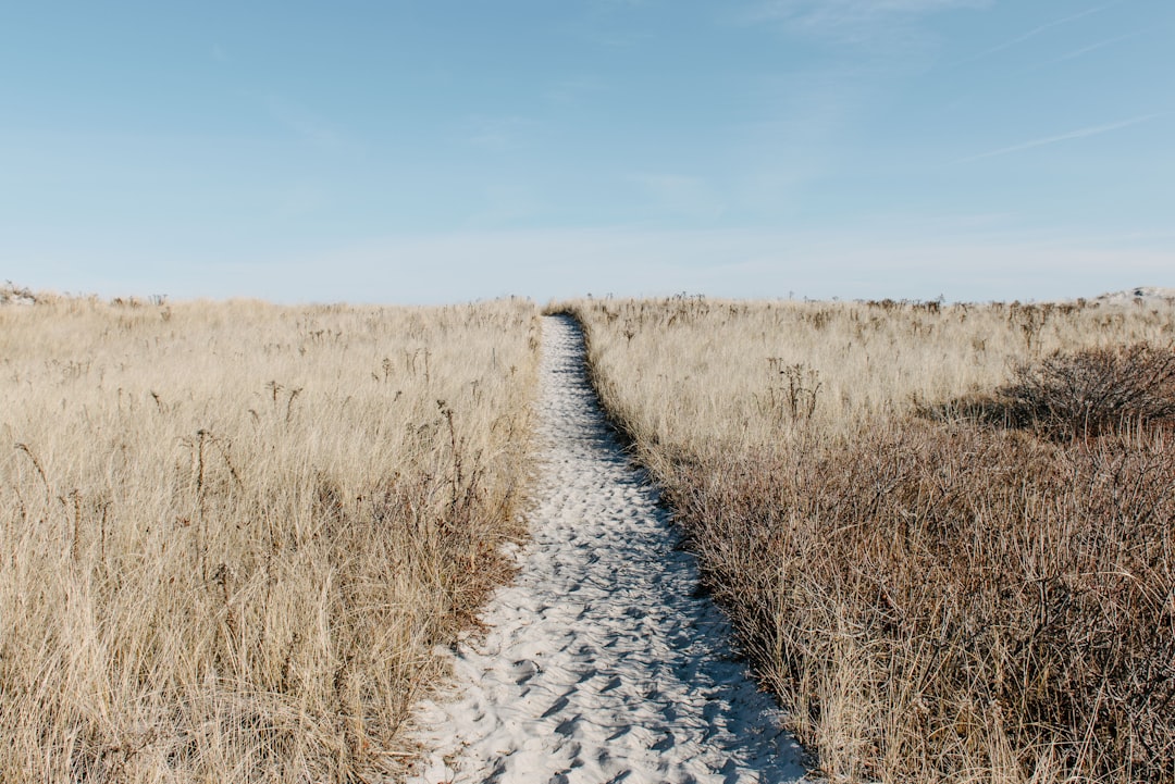 The Path Ahead