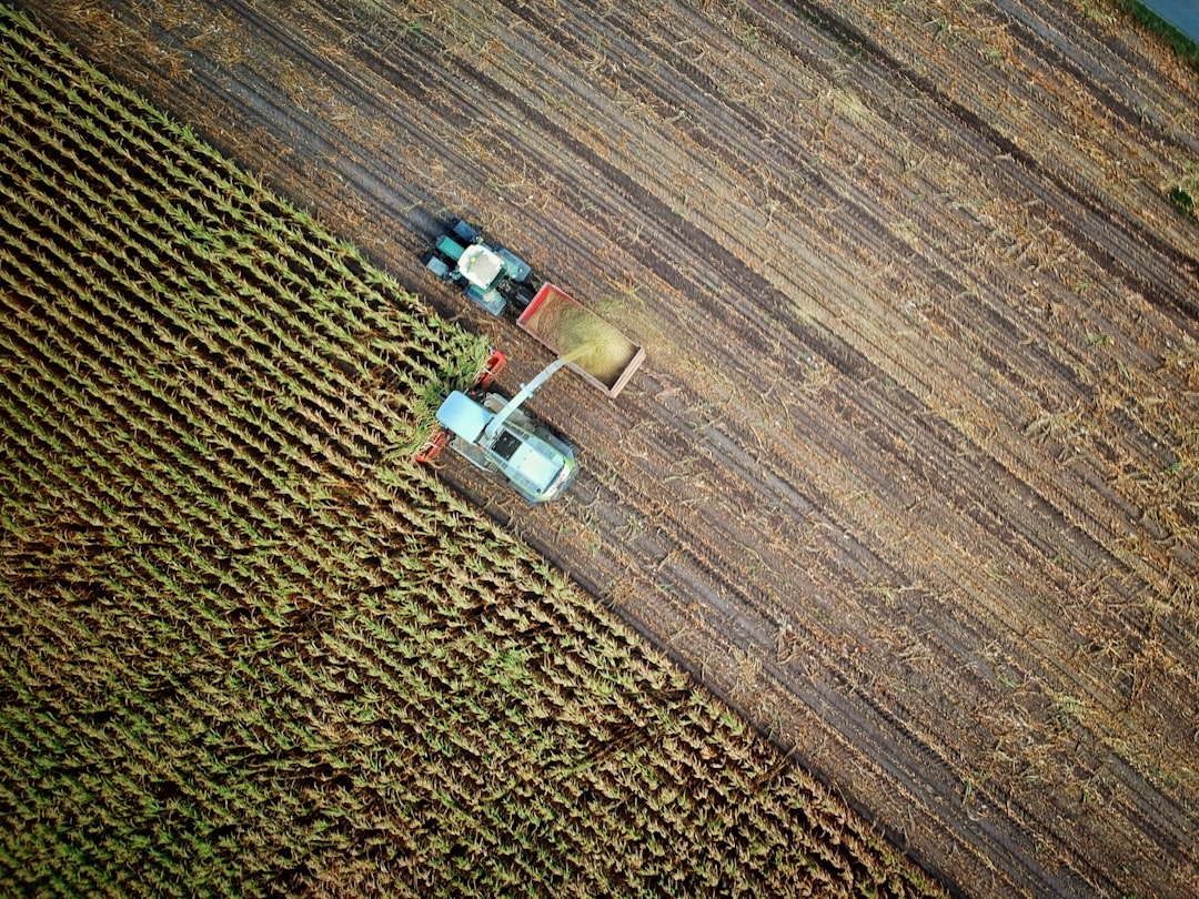 Broader Implications for Agriculture