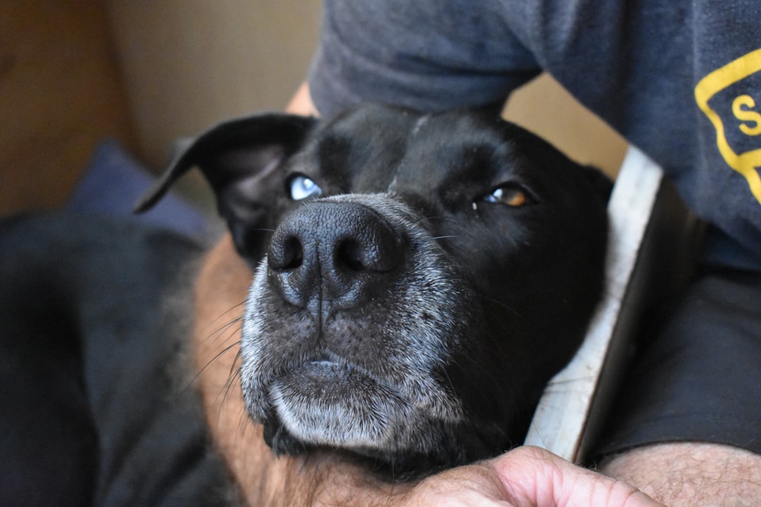 The Rescue That Captivated a Community