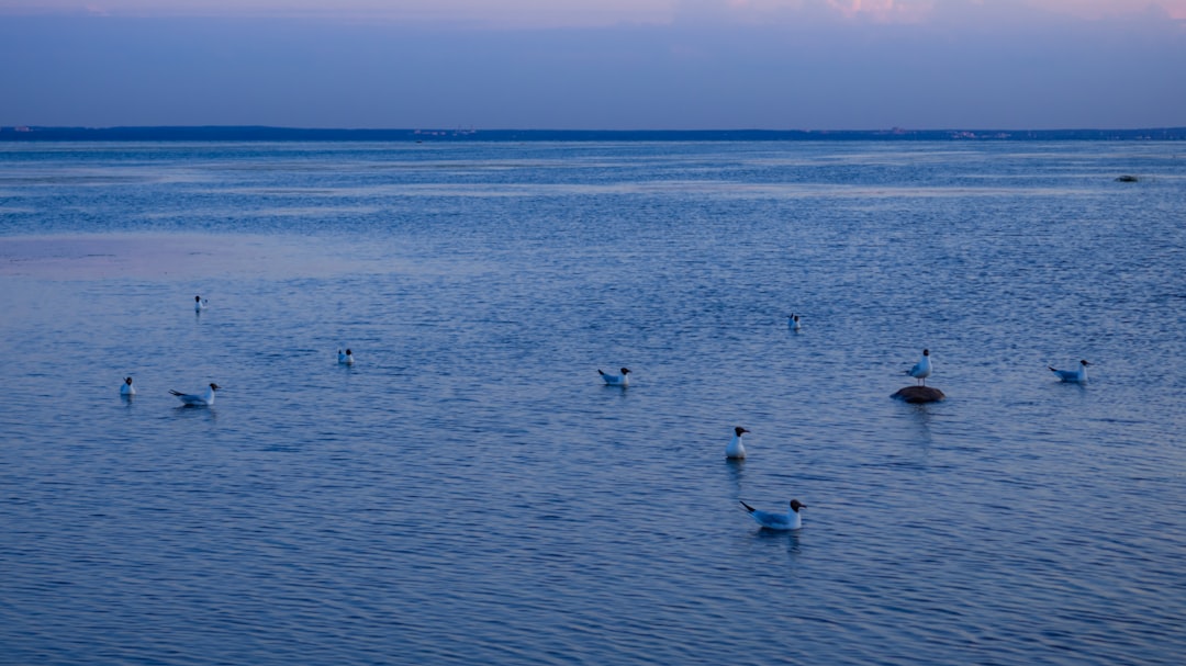 Navigating Sensitive Waters