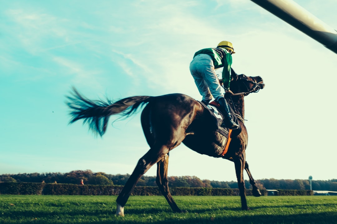 The Race's Dramatic Highlights