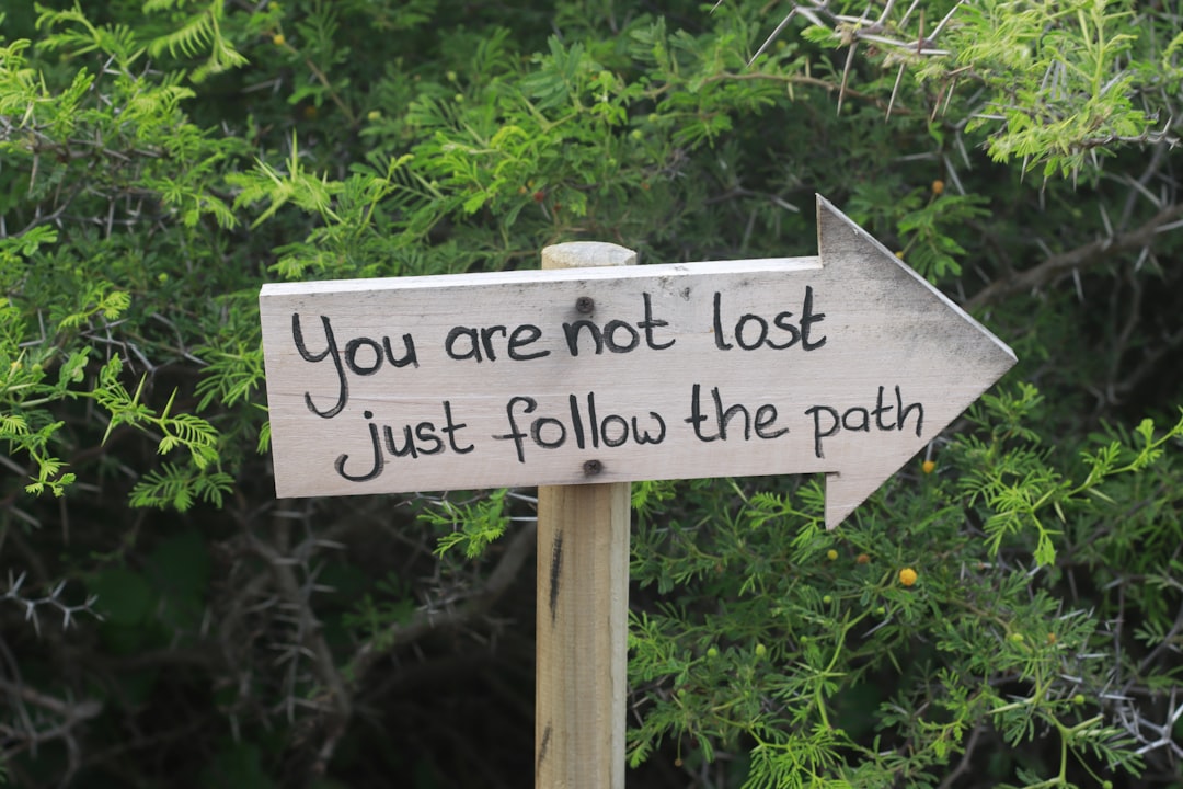 Conclusion: A Cautious Path Forward