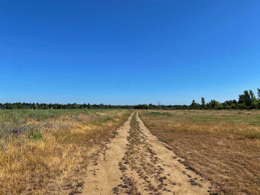 The Path Forward: Finding a Balance