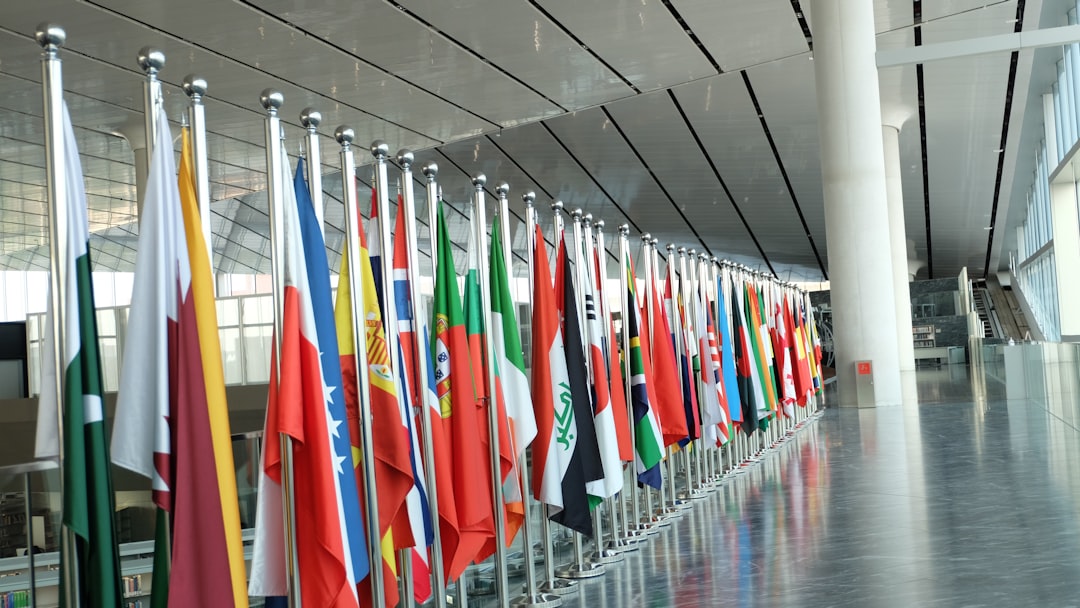 International Response and Concerns