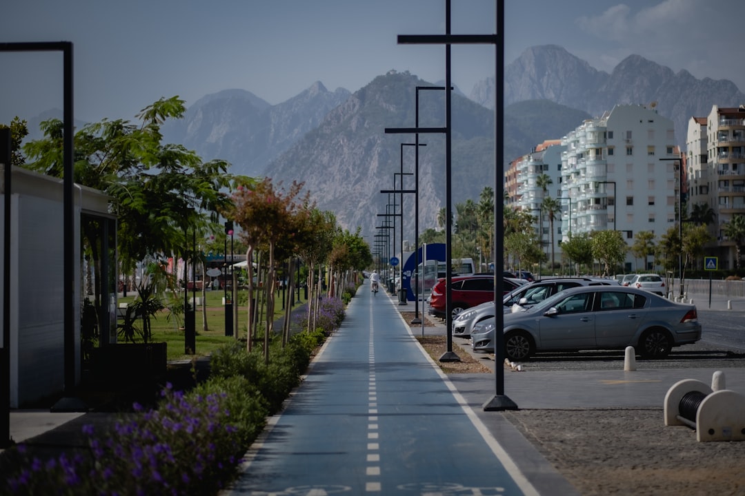 The Path Ahead
