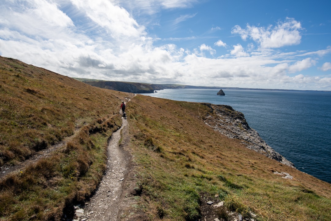 Burnham's Path Forward
