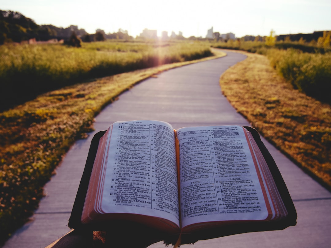Navigating the Path to Understanding