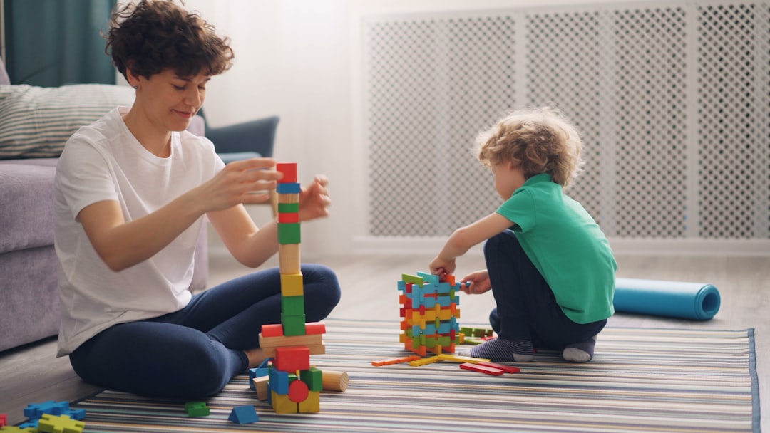 The Role of the Child Maintenance Service