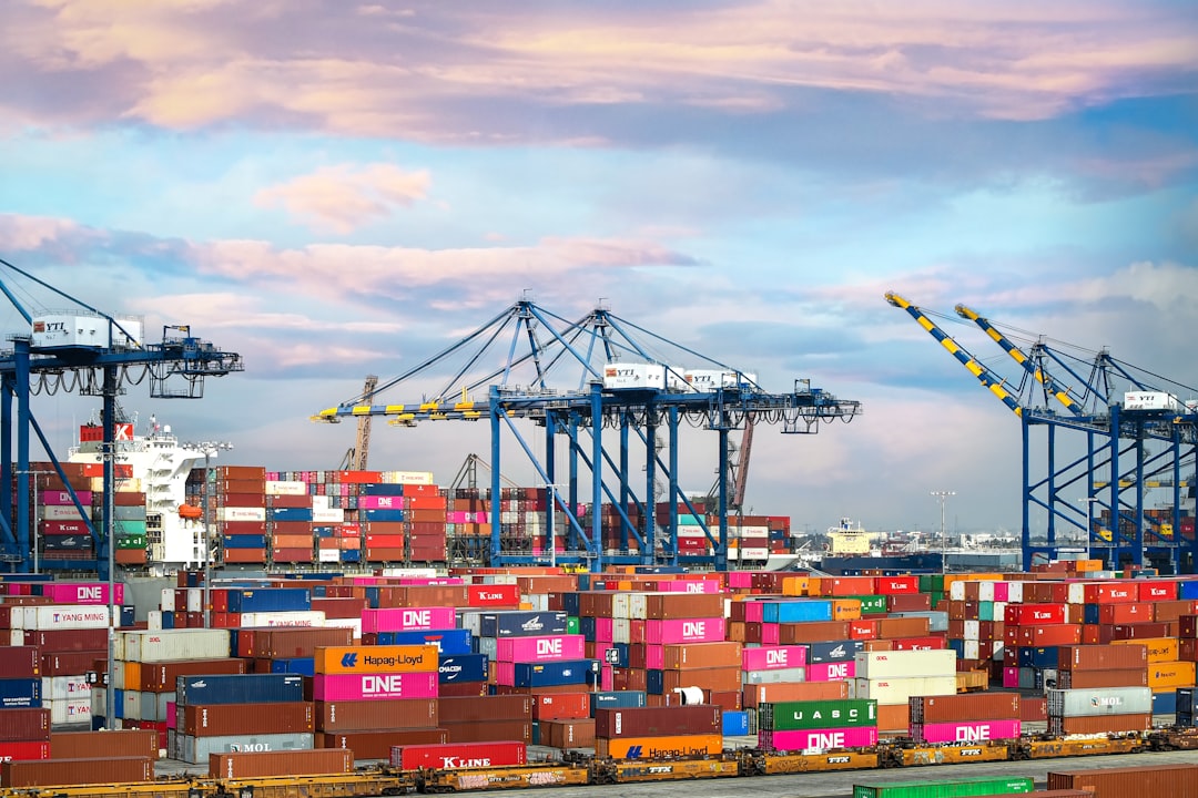 Supply Chain Disruptions and Regional Variations