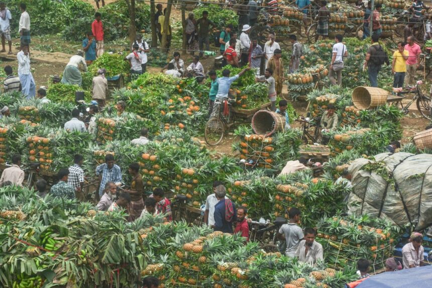photo-1561004299-2a489c83c7fc-1