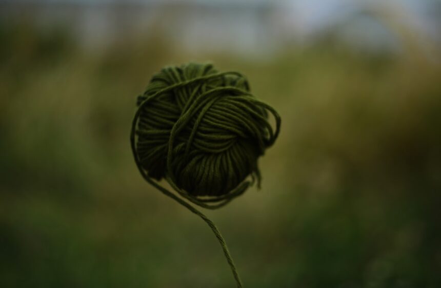 photo-1725561825154-db8760276a33-2