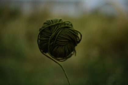 photo-1725561825154-db8760276a33-3