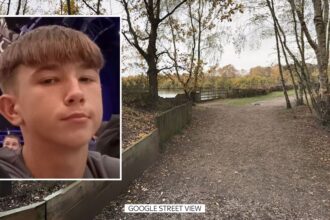 skynews-declan-sawyer-lincolnshire_7258516-3