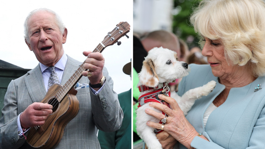skynews-king-charles-queen-camilla_7254809-1