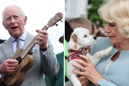 skynews-king-charles-queen-camilla_7254809-8