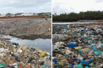 skynews-waste-dumping_7250065