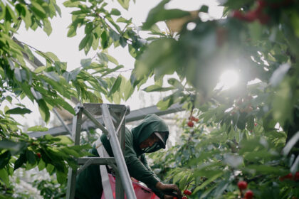 00biz-farm-workers-bpzc-mediumSquareAt3X