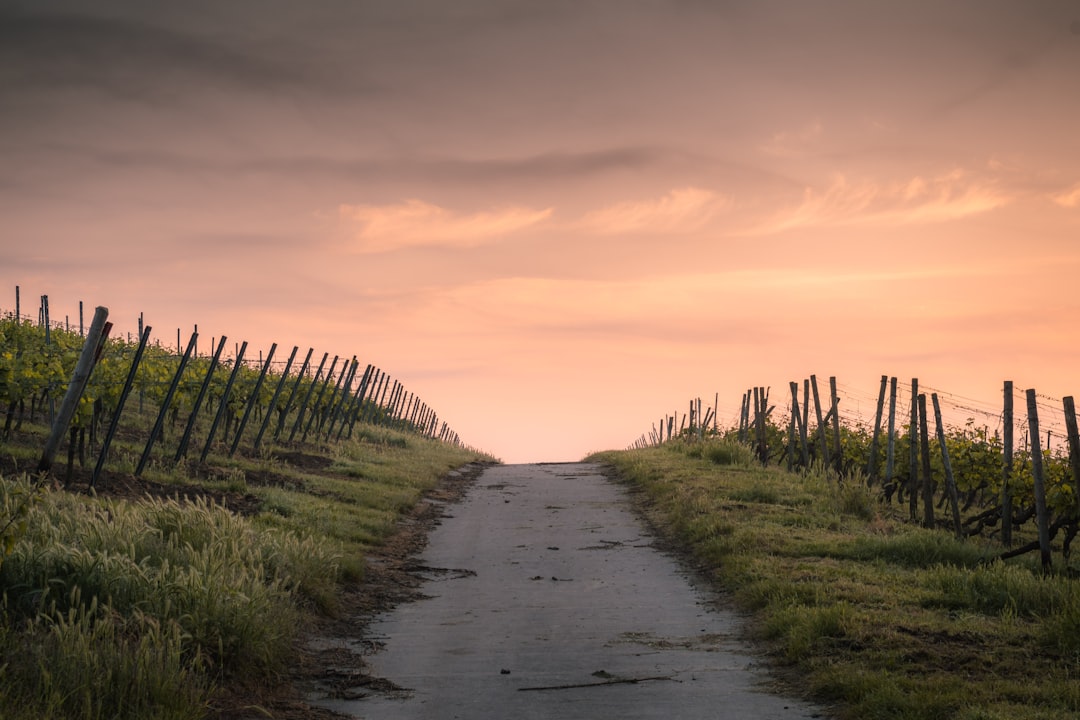 The Path Ahead