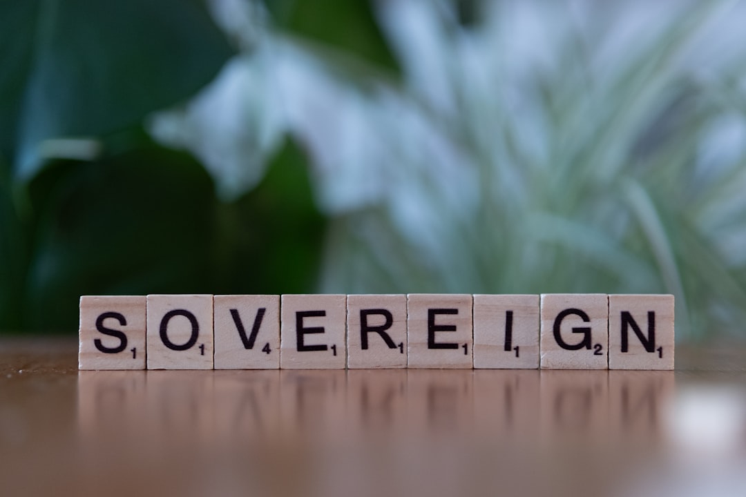 Concerns About Oversight and Accountability