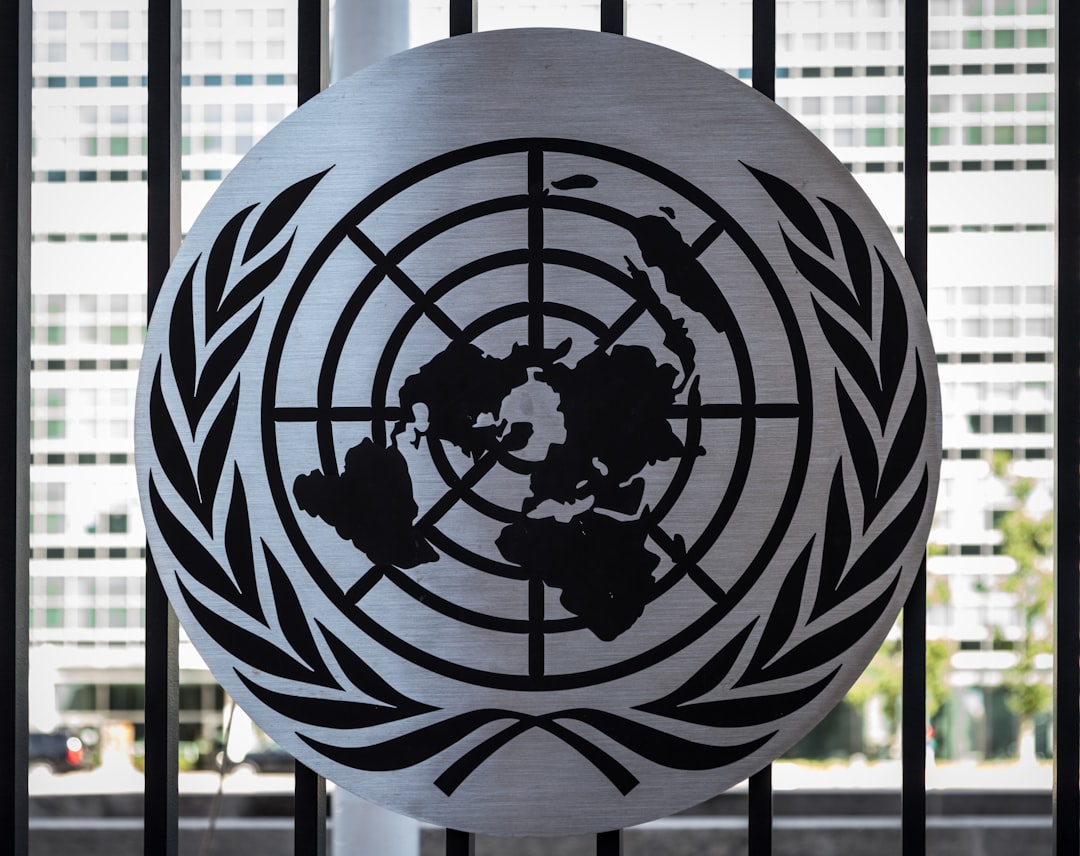 The International Response
