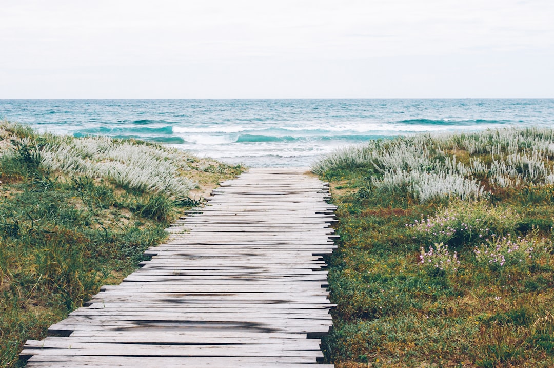 A Path Towards Sustainability