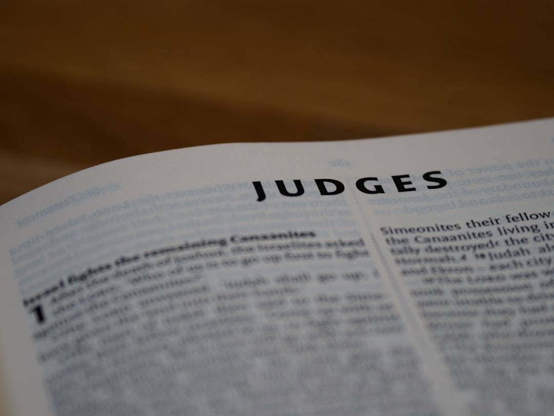 The Judges' Perspective
