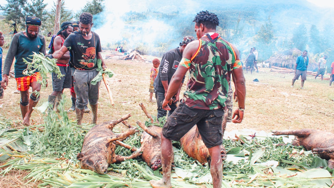 Rising Death Toll and Escalating Insecurity