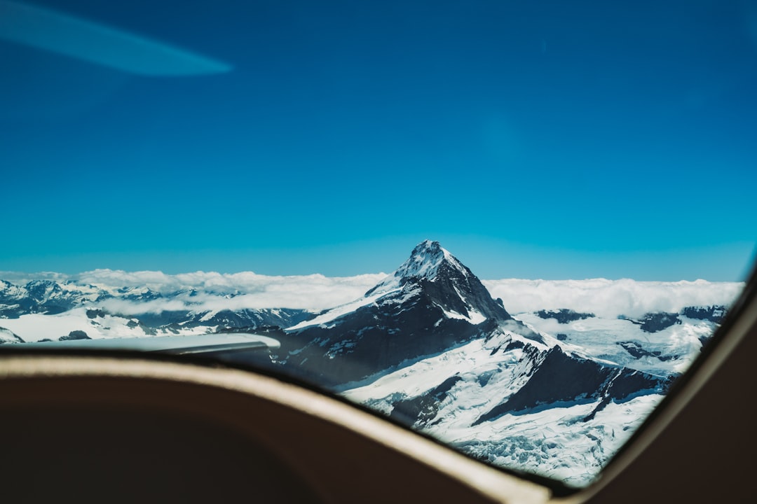 Future Prospects