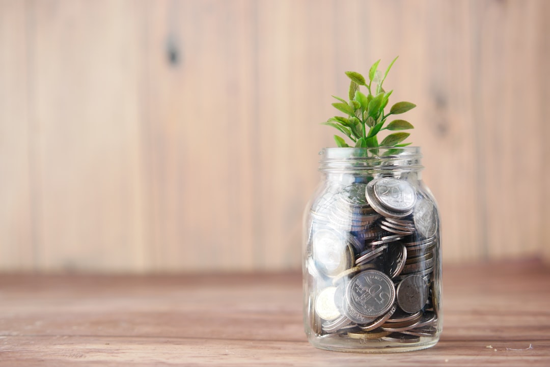Funding and Future Plans