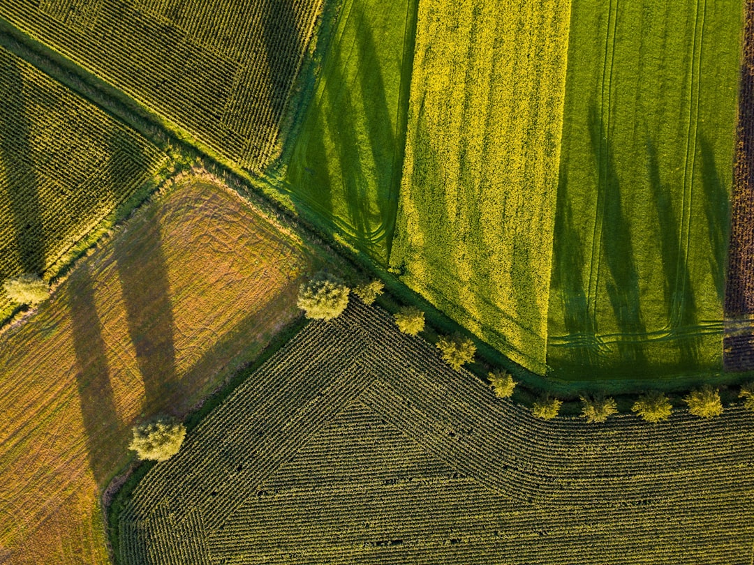 The Broader Agricultural Landscape