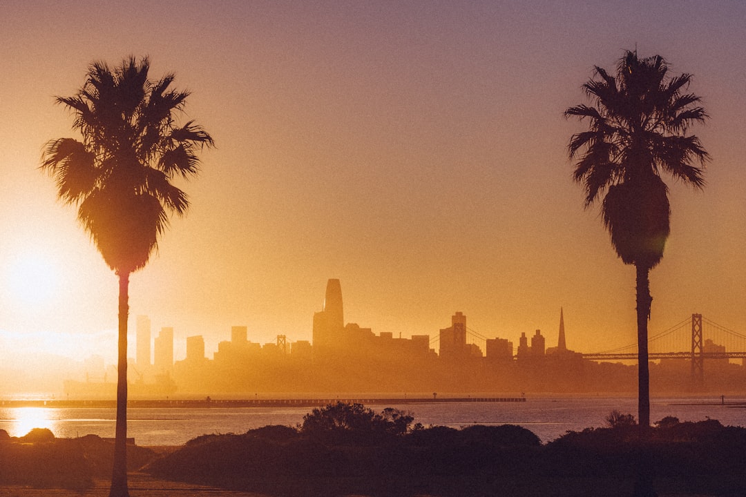 Vision for California